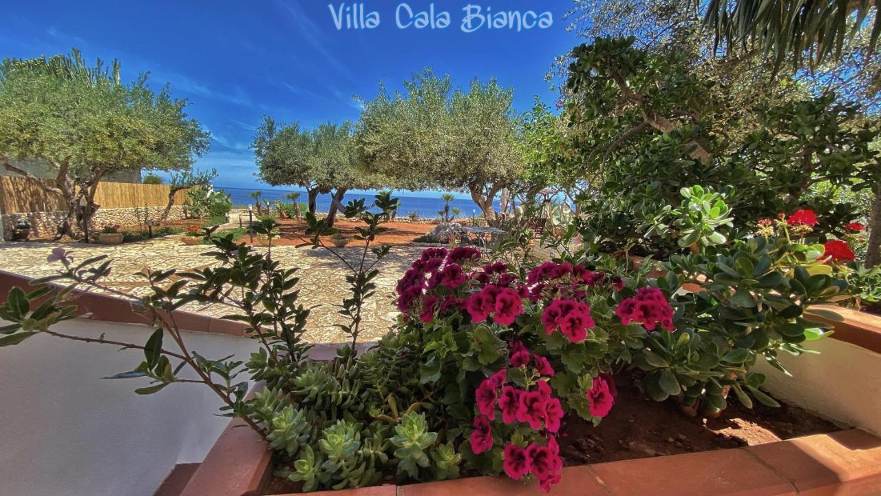 Villa Cala Bianca 卡斯泰拉马莱 外观 照片